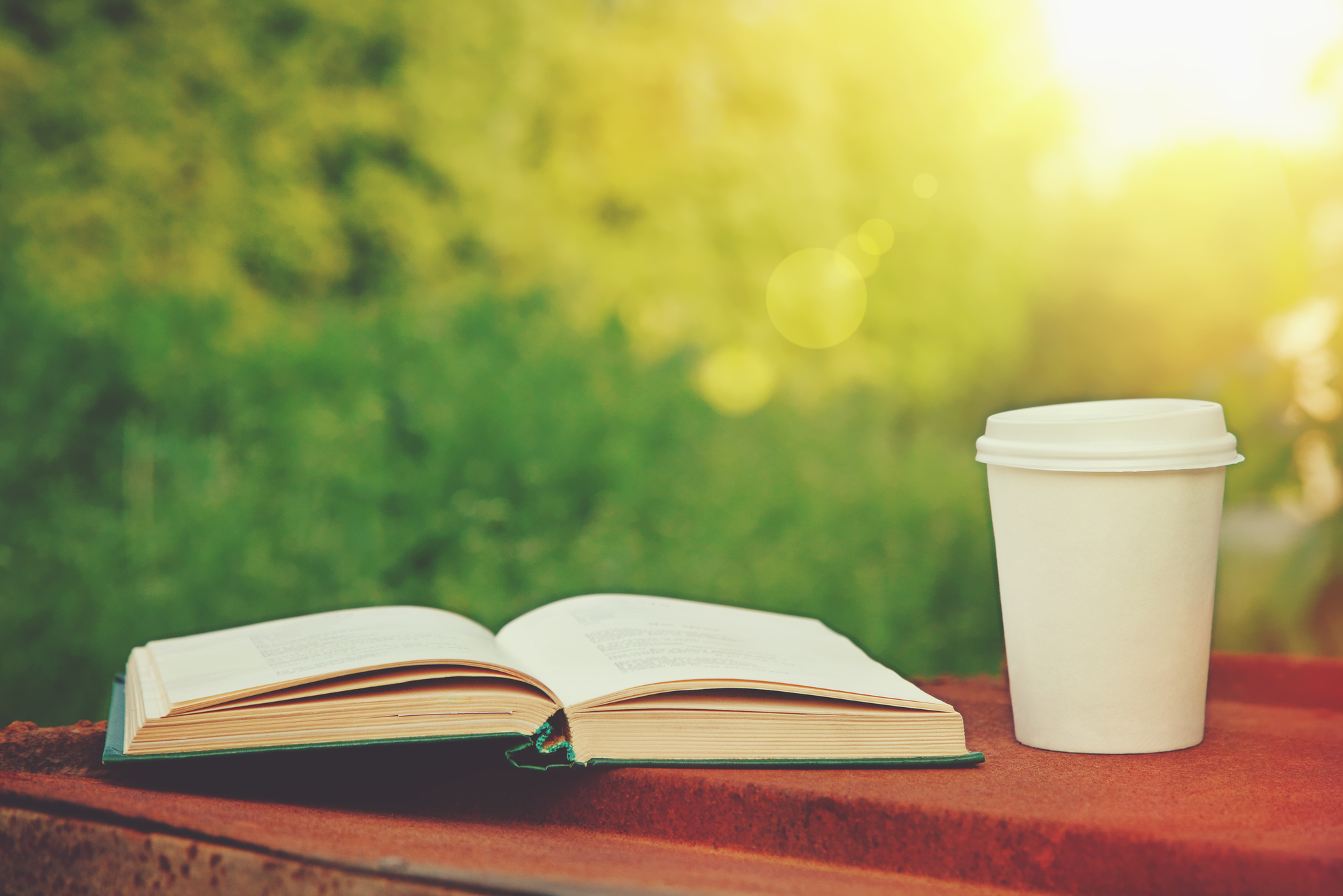 Cup of coffee and book in the summer sunlight